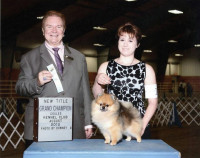 Am GCh. Ladybug's Enchanted Jd