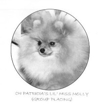 Ch. Patricia's Lil' Miss Molly ROM