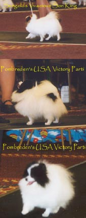 Pombreden's Usa Victory Parti