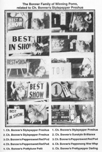 CH. Bonner's Pepperkiss