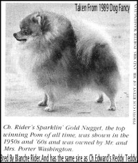 Ch. Rider's Sparklin' Gold Nugget