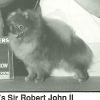 CH. Blake's Sir Robert John Ii