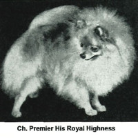 CH. Premier His Royal Highness