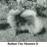 Radiant Tiny Memento Ii