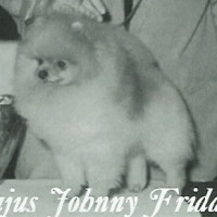 AM CH. Jimcin's Larajus Johnny Friday