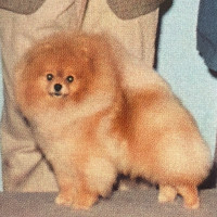 Char's It's All About Me