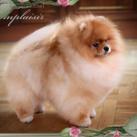 Practically Perfect Ot Pandy Sharm